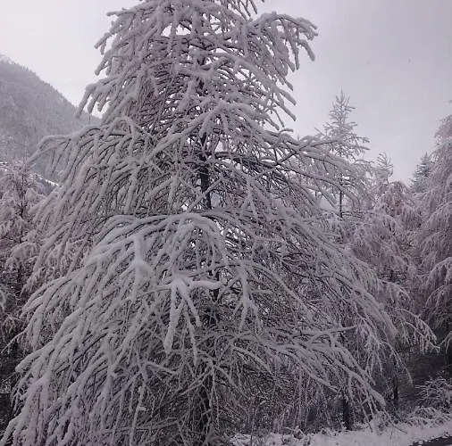 Pfeifer Apartamento Kappl (Landeck)